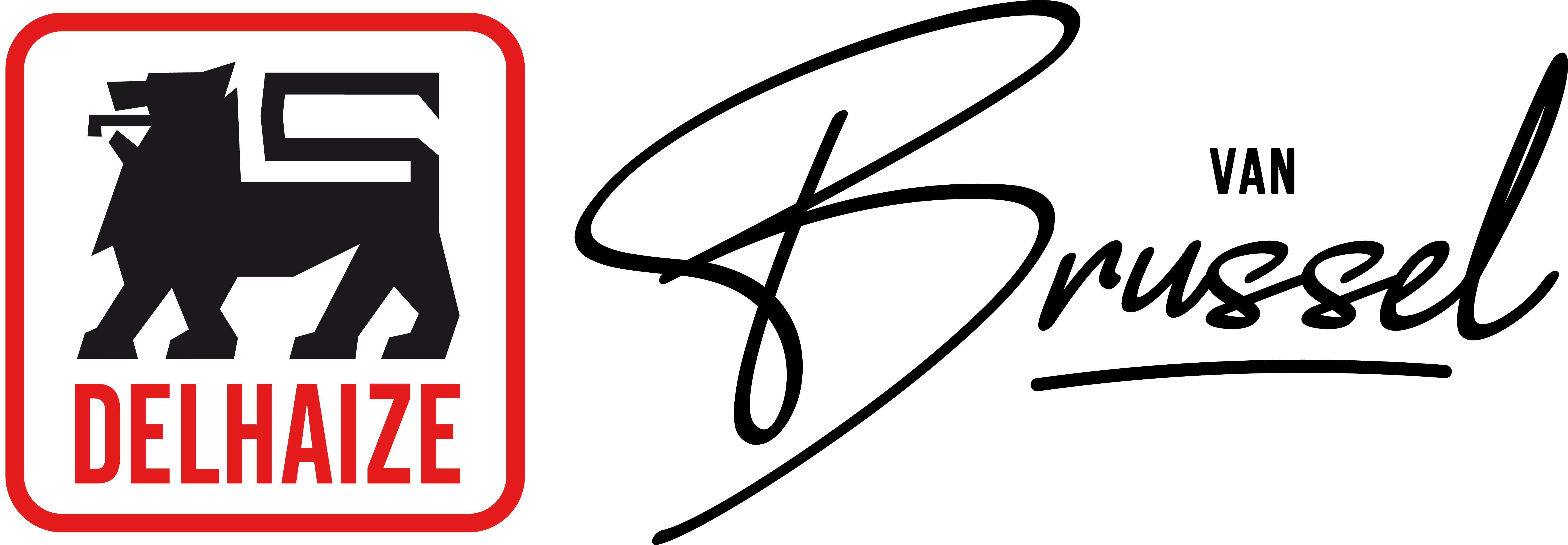 DelhaizeVanBrussel_Logo (1)
